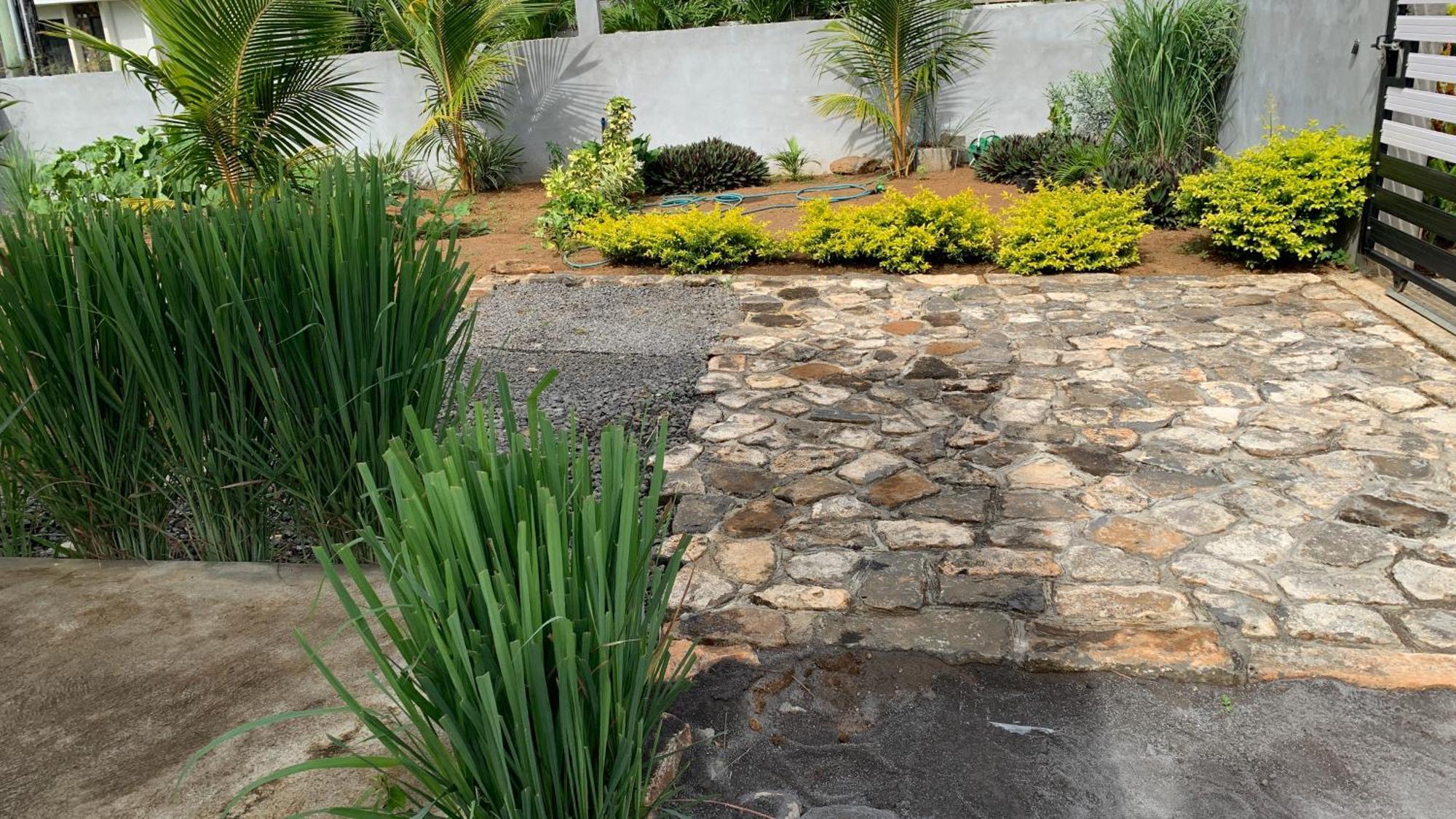 Palm Creek Villa مونت تْشويْسي المظهر الخارجي الصورة
