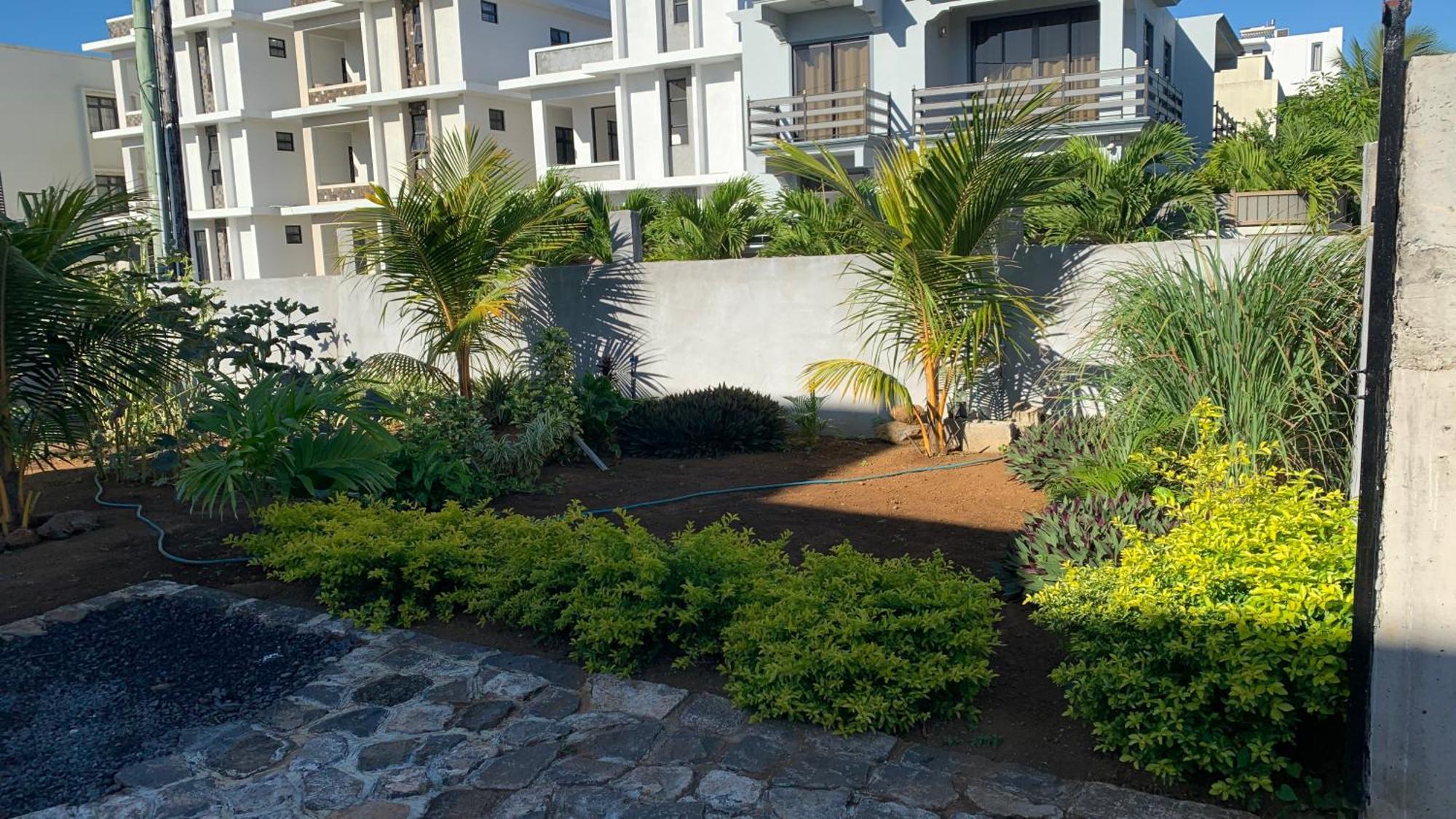 Palm Creek Villa مونت تْشويْسي المظهر الخارجي الصورة