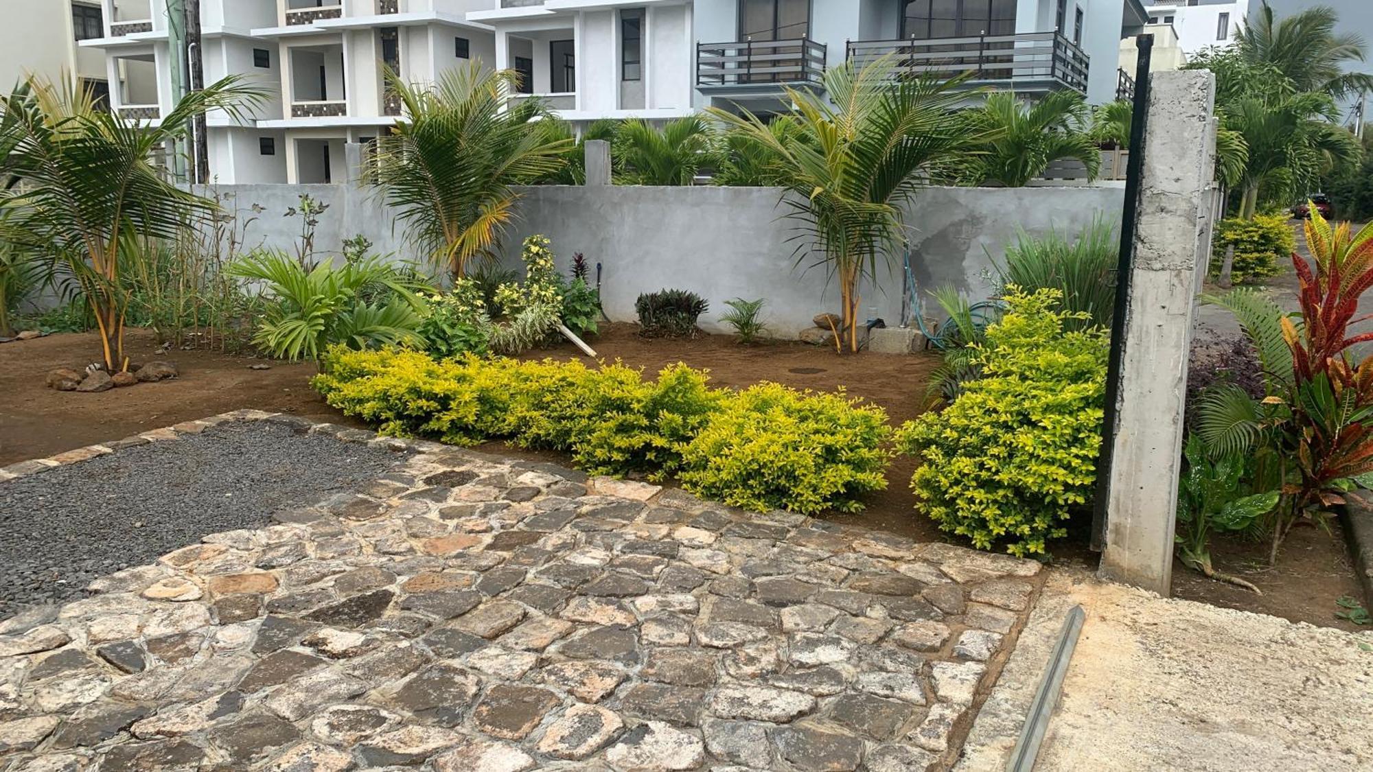 Palm Creek Villa مونت تْشويْسي المظهر الخارجي الصورة
