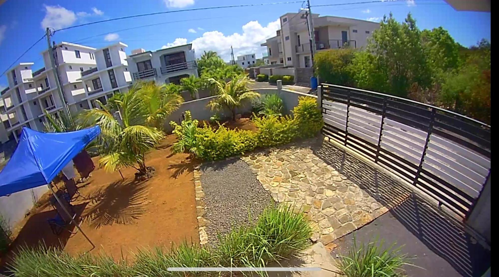 Palm Creek Villa مونت تْشويْسي المظهر الخارجي الصورة
